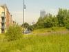 birley vie to humming